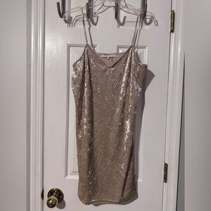 Anthro English Factory Crushed Velvet Champagne Slip Dress Spaghetti Straps EUC